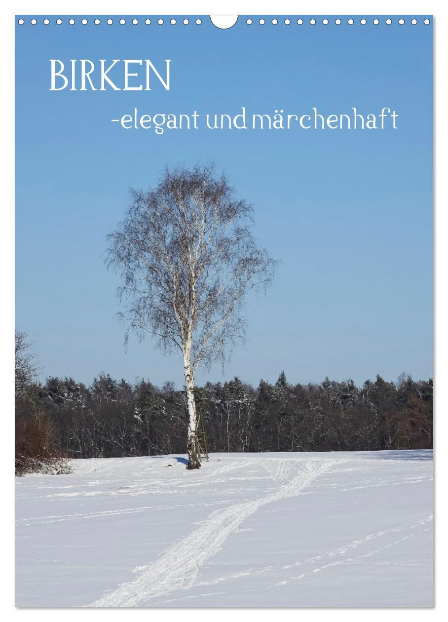 Cover: 9783675734050 | Birken - elegant und märchenhaft (Wandkalender 2024 DIN A3 hoch),...