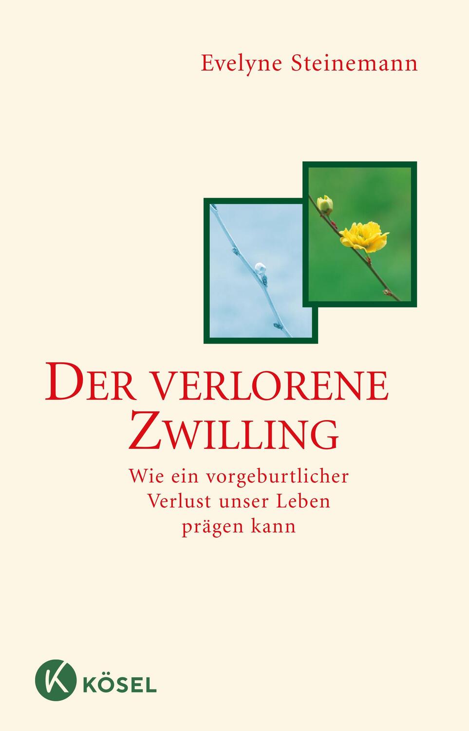 Cover: 9783466307173 | Der verlorene Zwilling | Evelyne Steinemann | Taschenbuch | 176 S.