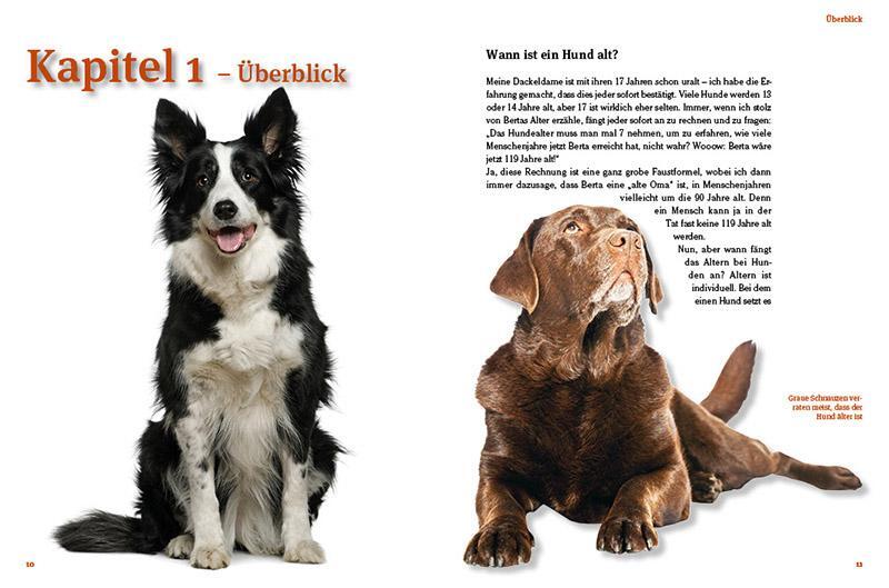 Bild: 9783866594739 | Hunde-Rentner | Tipps für "alte Felle" | Valentina Kurscheid | Buch