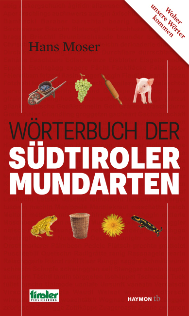 Cover: 9783709978382 | Wörterbuch der Südtiroler Mundarten | Woher unsere Wörter kommen