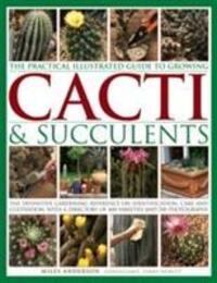 Cover: 9781843093558 | Practical Illustrated Guide to Growing Cacti &amp; Succulents | Anderson