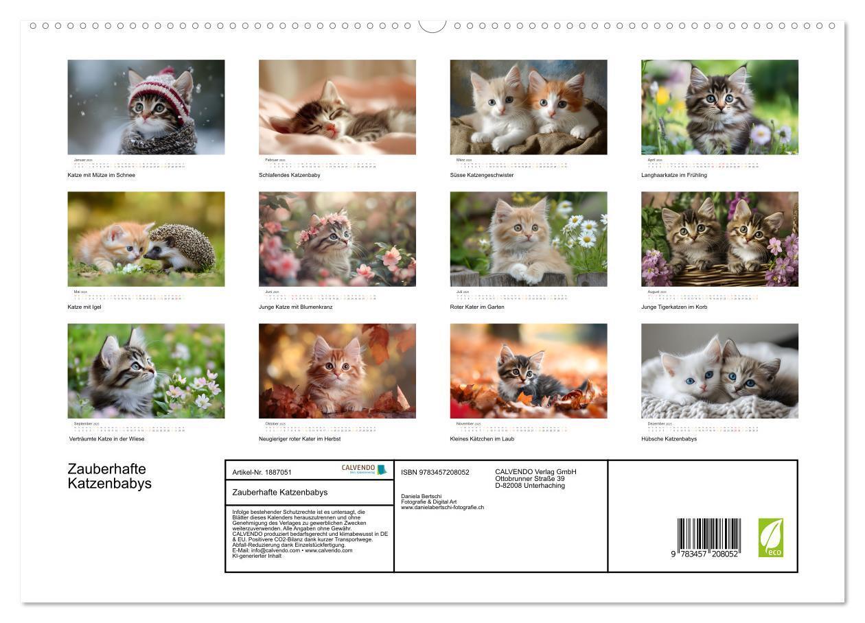 Bild: 9783457208052 | Zauberhafte Katzenbabys (hochwertiger Premium Wandkalender 2025 DIN...