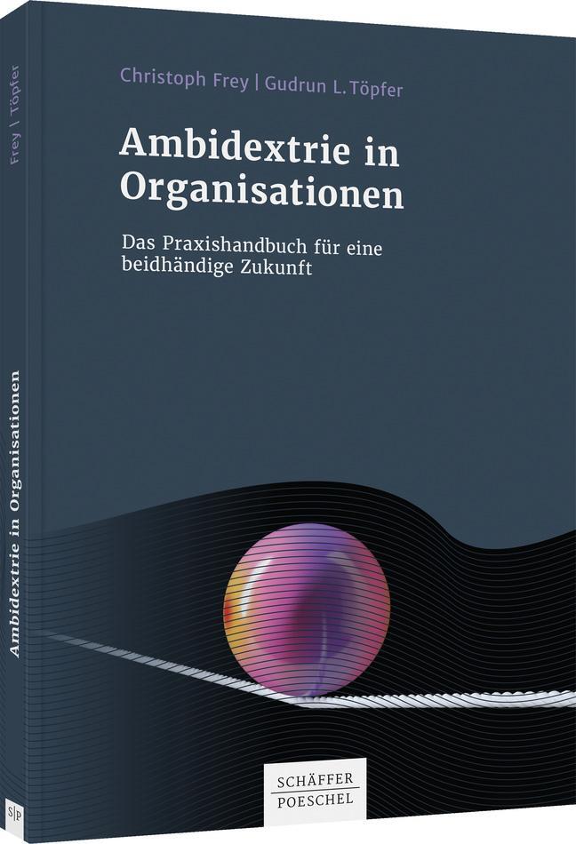 Cover: 9783791052410 | Ambidextrie in Organisationen | Christoph Frey (u. a.) | Taschenbuch