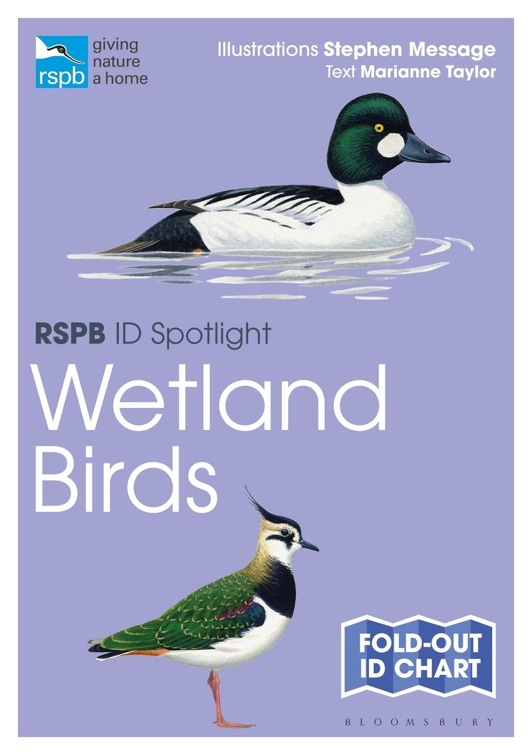 Cover: 9781472974235 | Rspb Id Spotlight - Wetland Birds | Marianne Taylor | Taschenbuch