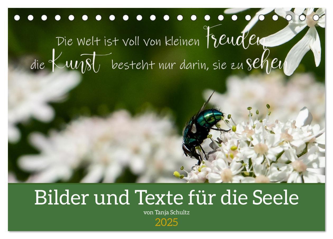 Cover: 9783435029907 | Bilder und Texte für die Seele (Tischkalender 2025 DIN A5 quer),...