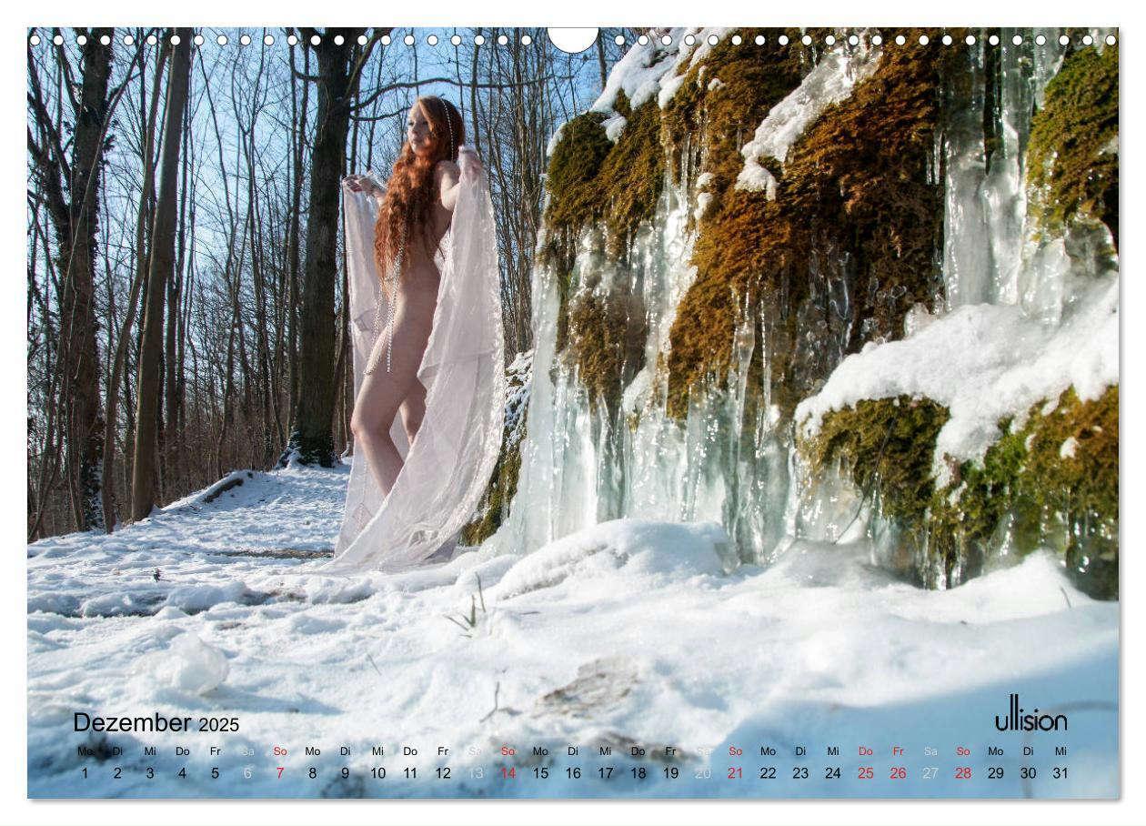 Bild: 9783435337491 | ZAUBERWALD Mystik der Natur (Wandkalender 2025 DIN A3 quer),...