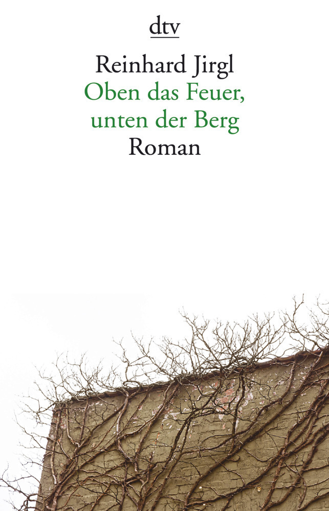Cover: 9783423145787 | Oben das Feuer, unten der Berg | Roman | Reinhard Jirgl | Taschenbuch