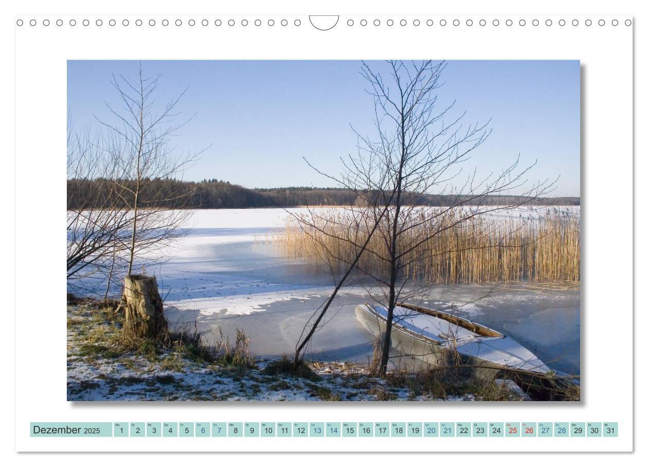 Bild: 9783435535842 | Augenblicke im Müritz Nationalpark (Wandkalender 2025 DIN A3 quer),...