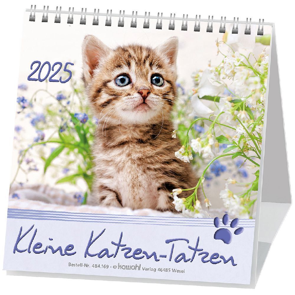 Cover: 9783754816950 | Kleine Katzen-Tatzen 2025 | Postkarten-Kalender | Kalender | 13 S.