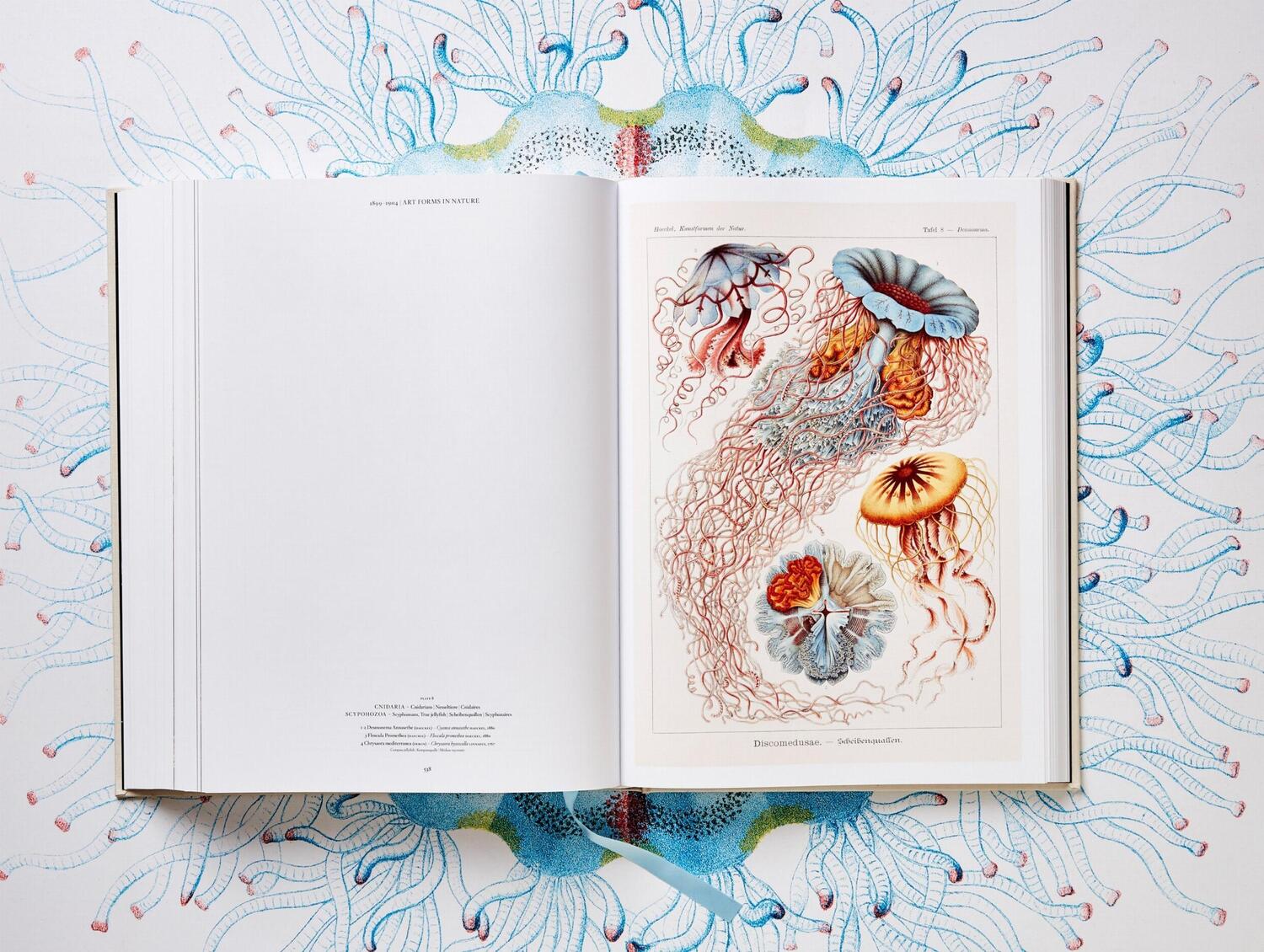 Bild: 9783836526463 | The Art and Science of Ernst Haeckel | Julia Voss (u. a.) | Buch