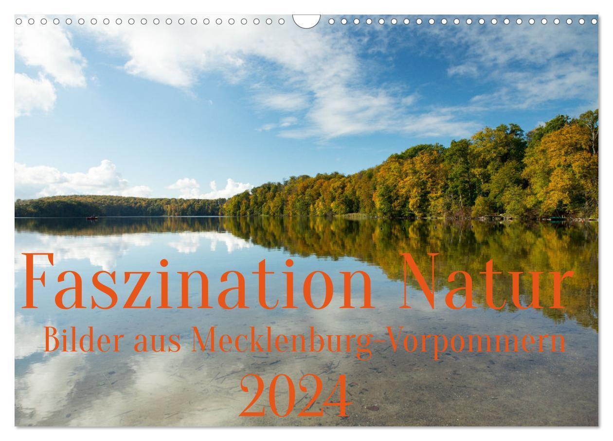 Cover: 9783675989924 | Faszination Natur - Bilder aus Mecklenburg-Vorpommern (Wandkalender...