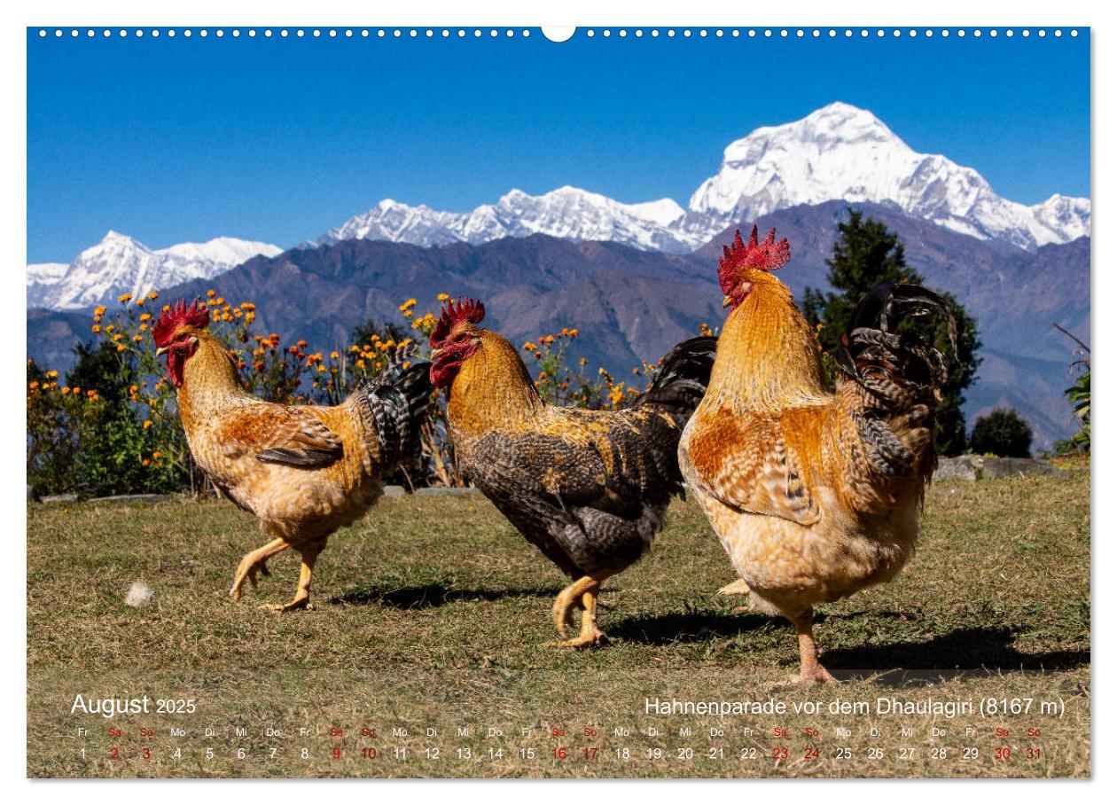 Bild: 9783435148738 | NEPAL - rund um die Annapurna (Wandkalender 2025 DIN A2 quer),...