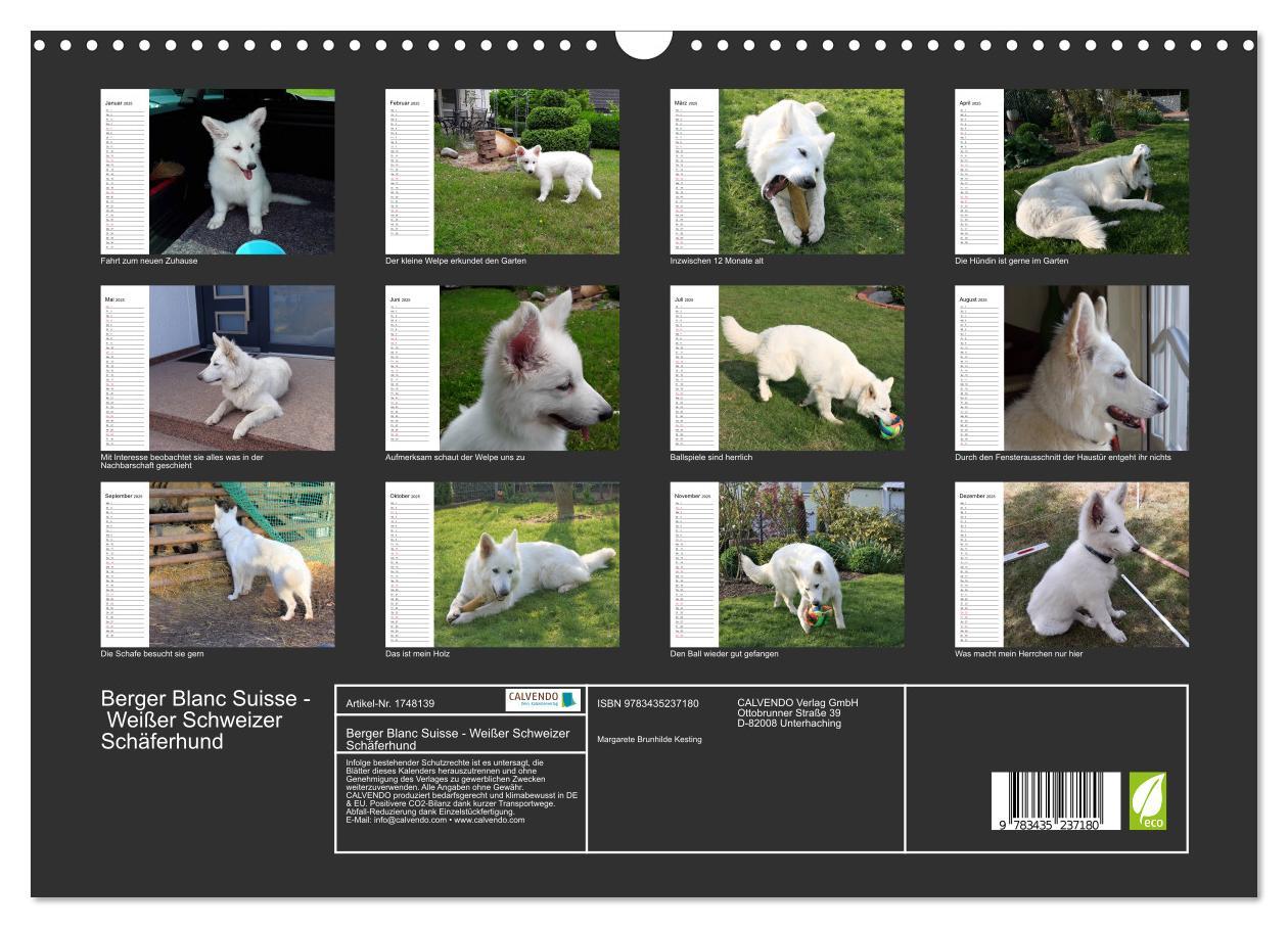 Bild: 9783435237180 | Berger Blanc Suisse - Weißer Schweizer Schäferhund (Wandkalender...