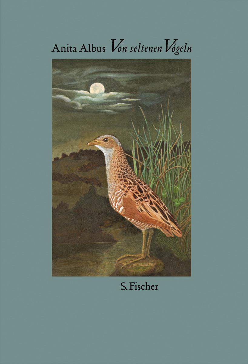 Cover: 9783100006202 | Von seltenen Vögeln | Anita Albus | Buch | Deutsch | 2005 | S. FISCHER