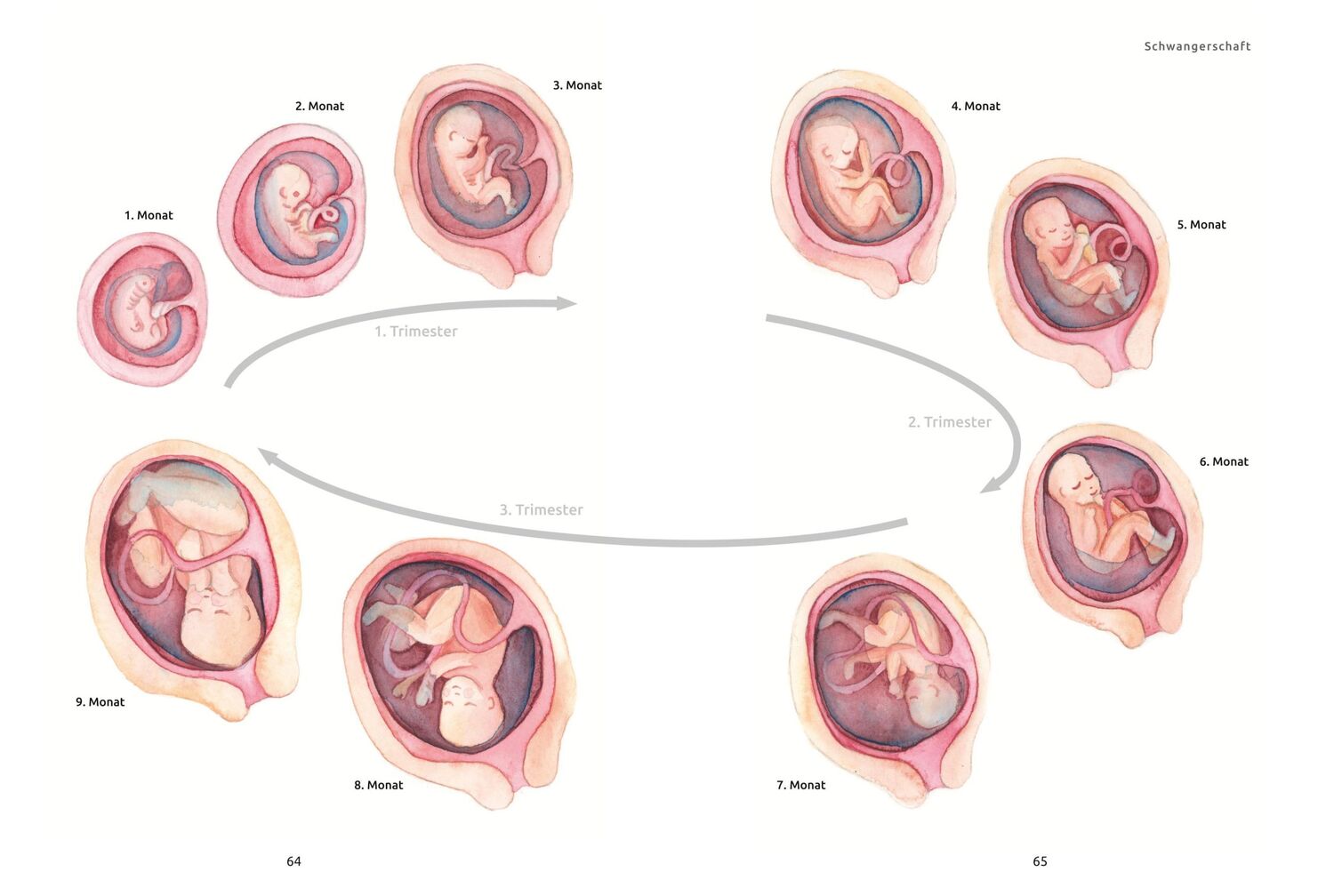 Bild: 9783833877964 | Richtig schwanger | Konstantin Wagner | Taschenbuch | Baby | 208 S.