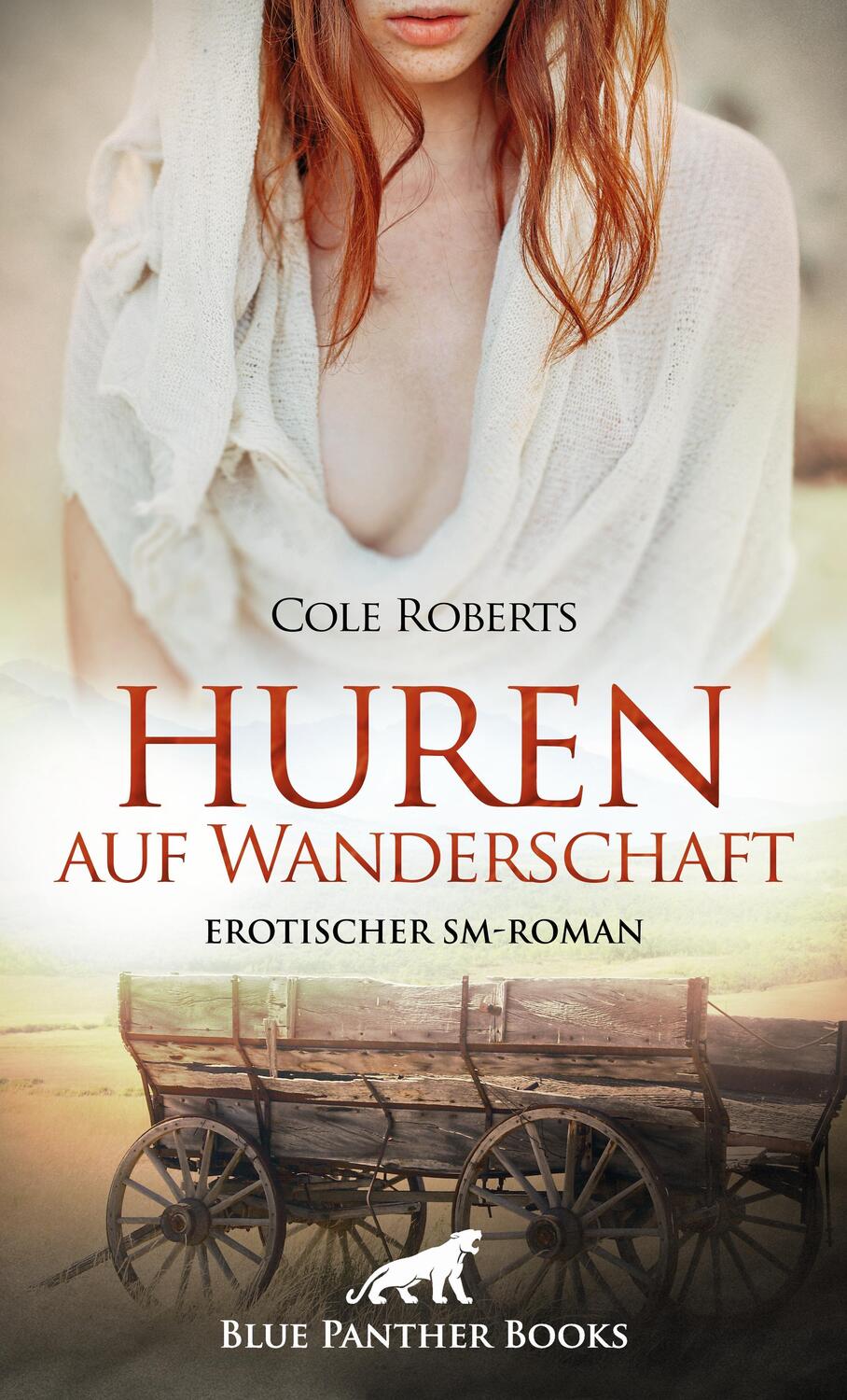 Cover: 9783750725393 | Huren auf Wanderschaft Erotischer SM-Roman | Cole Roberts | Buch