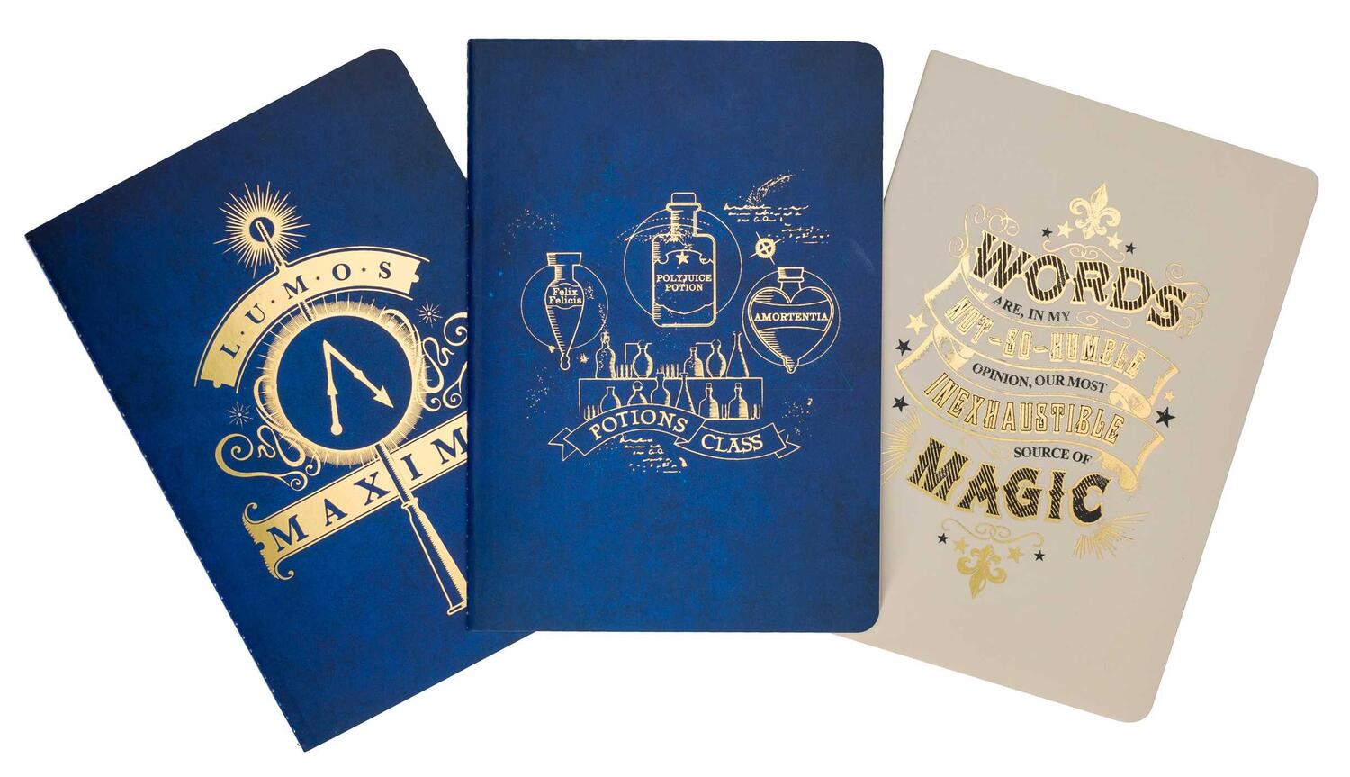 Cover: 9798886631388 | Harry Potter: Spells and Potions Planner Notebook Collection (Set...