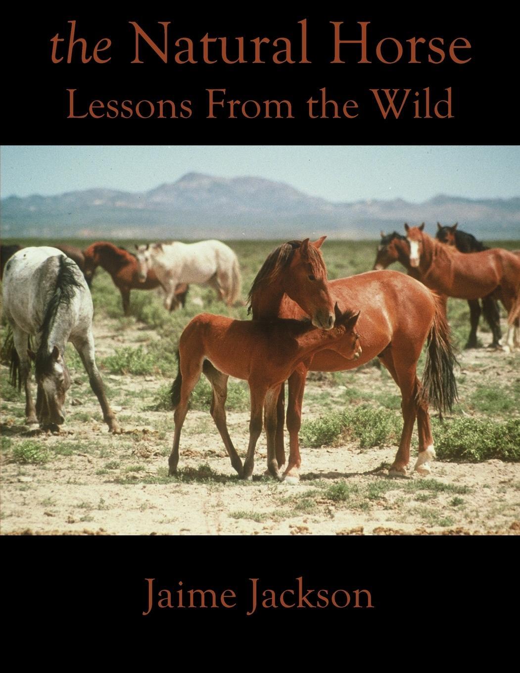 Cover: 9780578728001 | The Natural Horse | Lessons From the Wild | Jaime Jackson | Buch