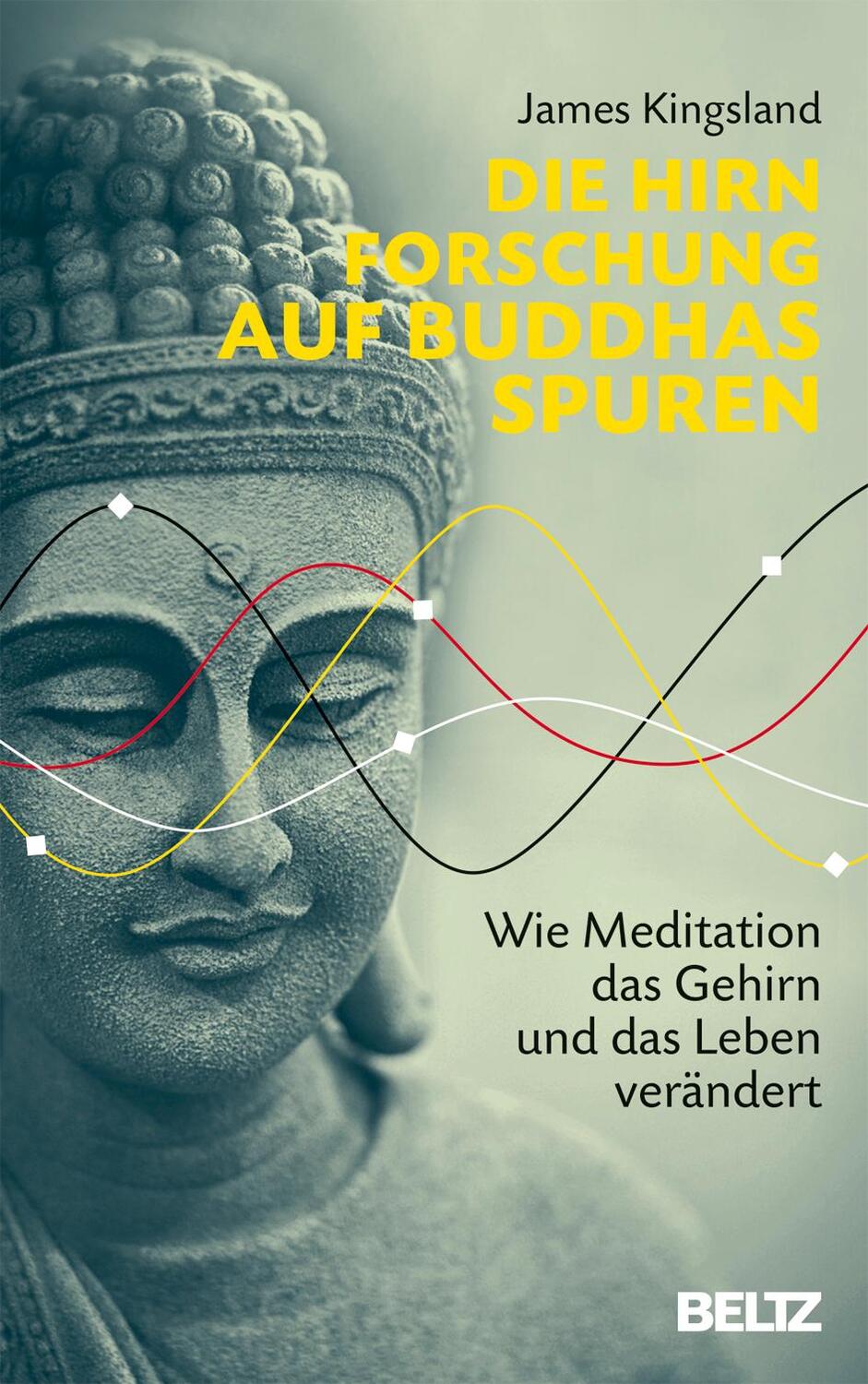 Cover: 9783407864444 | Die Hirnforschung auf Buddhas Spuren | James Kingsland | Buch | 2017