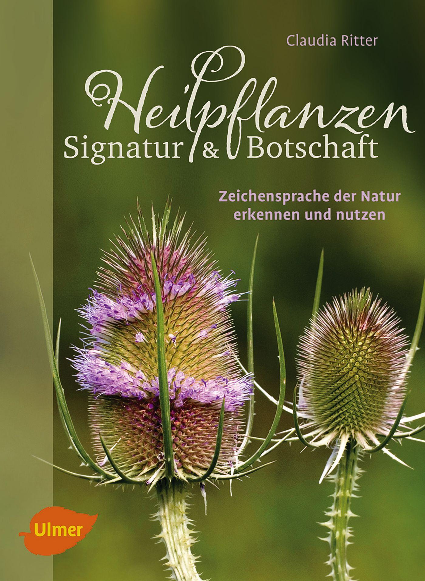 Cover: 9783800103942 | Heilpflanzen. Signatur und Botschaft | Claudia Ritter | Buch | 144 S.