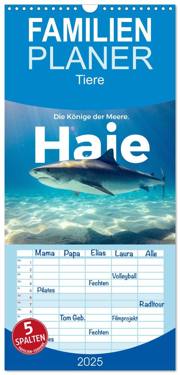 Cover: 9783457099544 | Familienplaner 2025 - Haie - Könige der Meere. mit 5 Spalten...