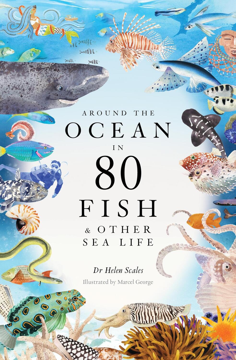 Cover: 9781399602785 | Around the Ocean in 80 Fish and other Sea Life | Helen Scales | Buch