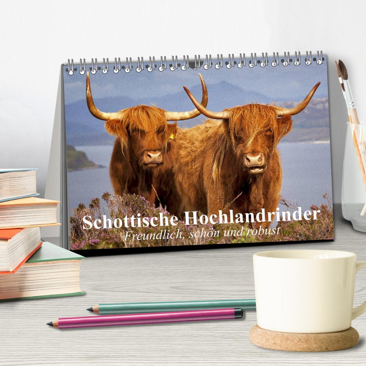 Bild: 9783435512096 | Schottische Hochlandrinder. Freundlich, schön und robust...