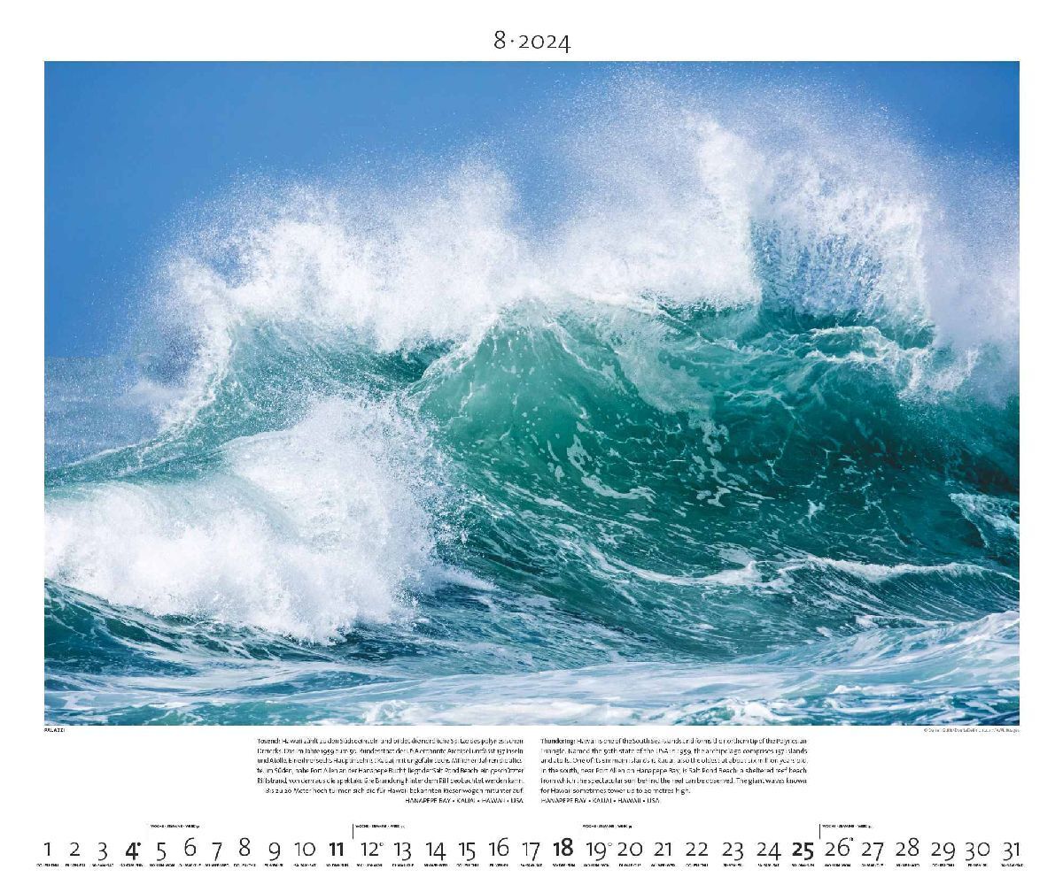 Bild: 4251734300539 | Lebensraum Meer 2024 - Bild-Kalender - Poster-Kalender - 60x50 | 28 S.