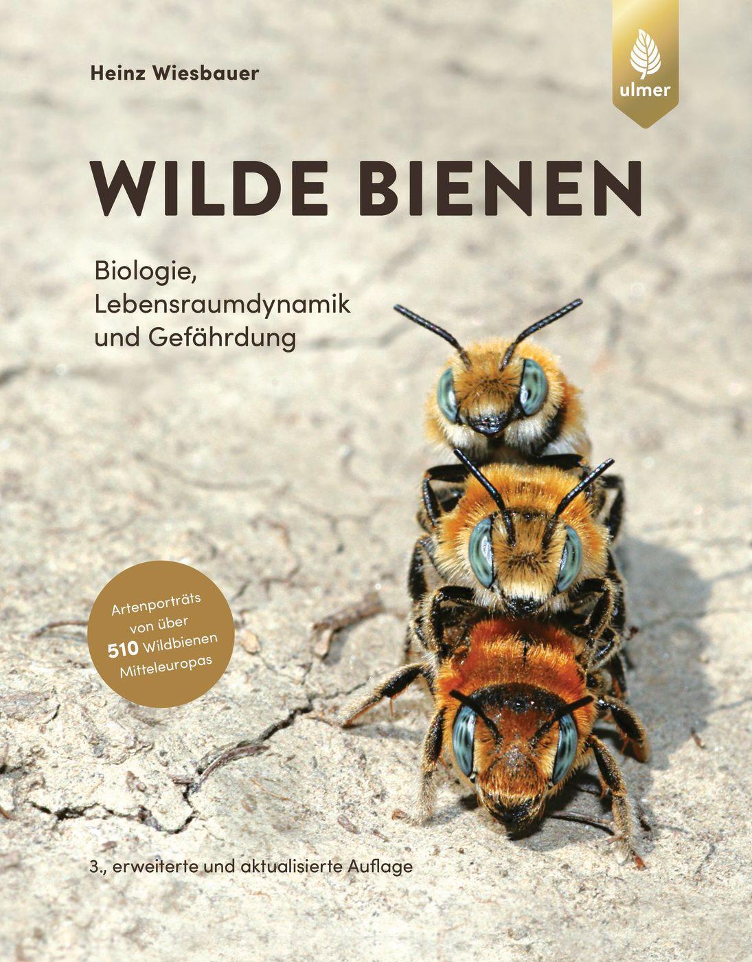 Cover: 9783818617172 | Wilde Bienen | Heinz Wiesbauer | Buch | Deutsch | 2023