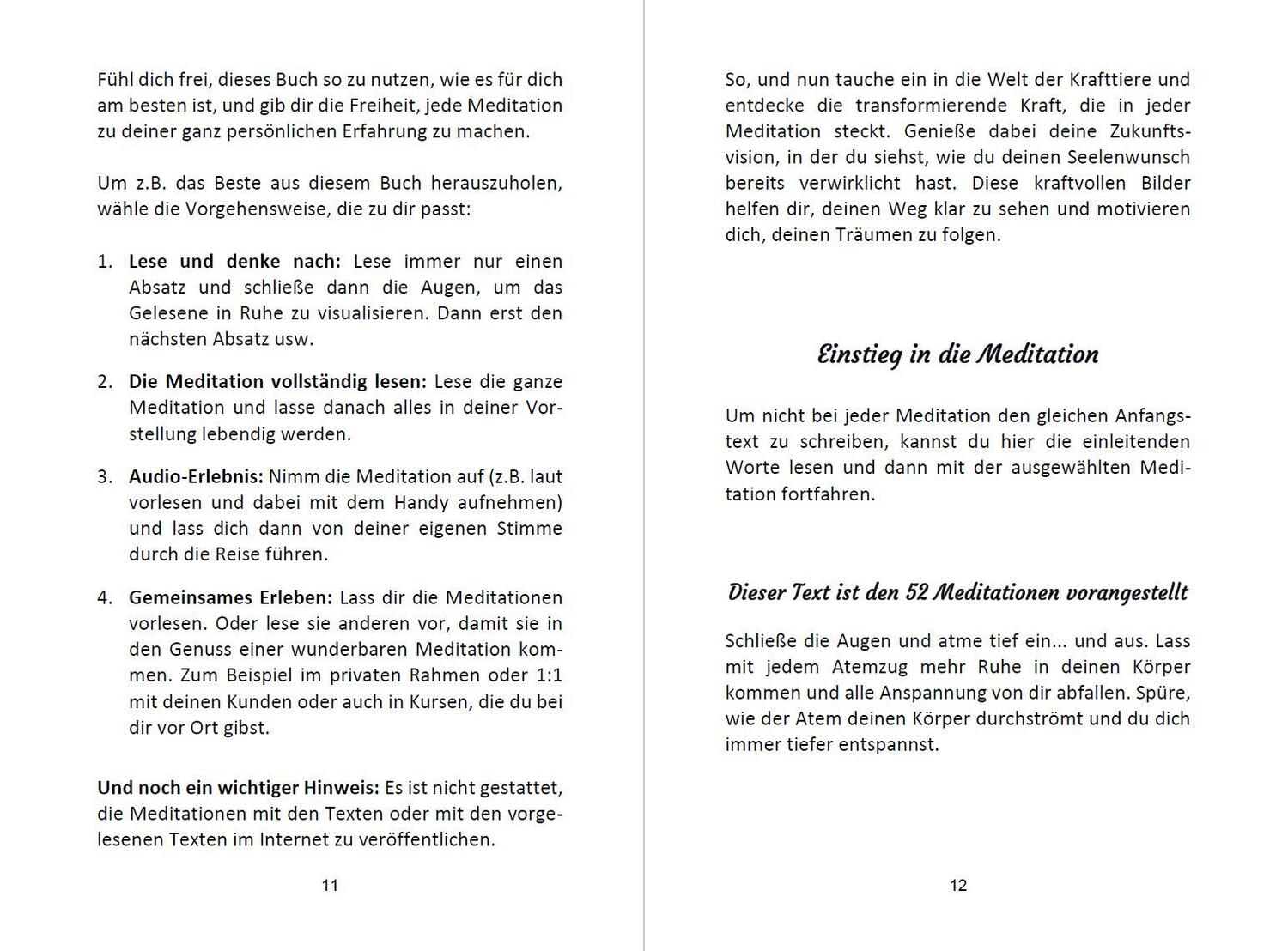 Bild: 9783967382938 | 52 Seelenweg und Krafttier Meditationen | Angelina Schulze | Buch