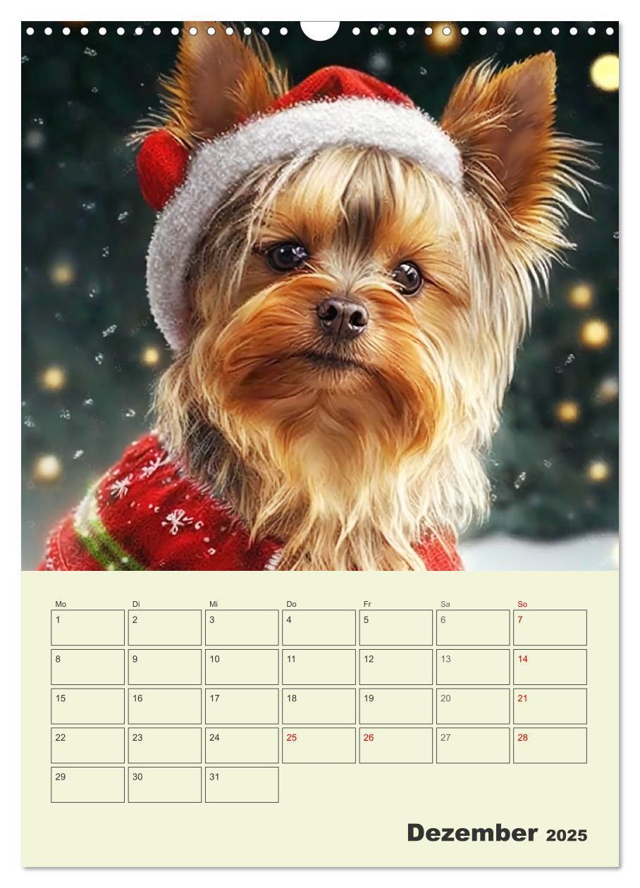 Bild: 9783435873715 | Yorkshire Terrier. Fröhliche Energiebündel in Aktion (Wandkalender...