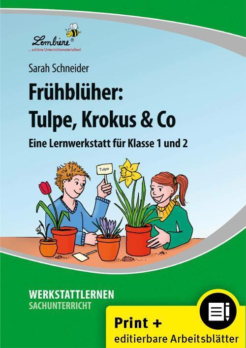 Cover: 9783956647901 | Frühblüher: Tulpe, Krokus &amp; Co | (1. und 2. Klasse) | Sarah Schneider