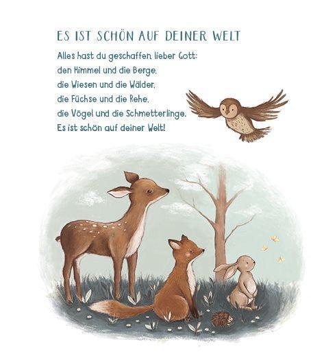 Bild: 9783961570560 | Mein erstes Gute-Nacht-Gebetbuch | Buch | Deutsch | 2019 | Camino