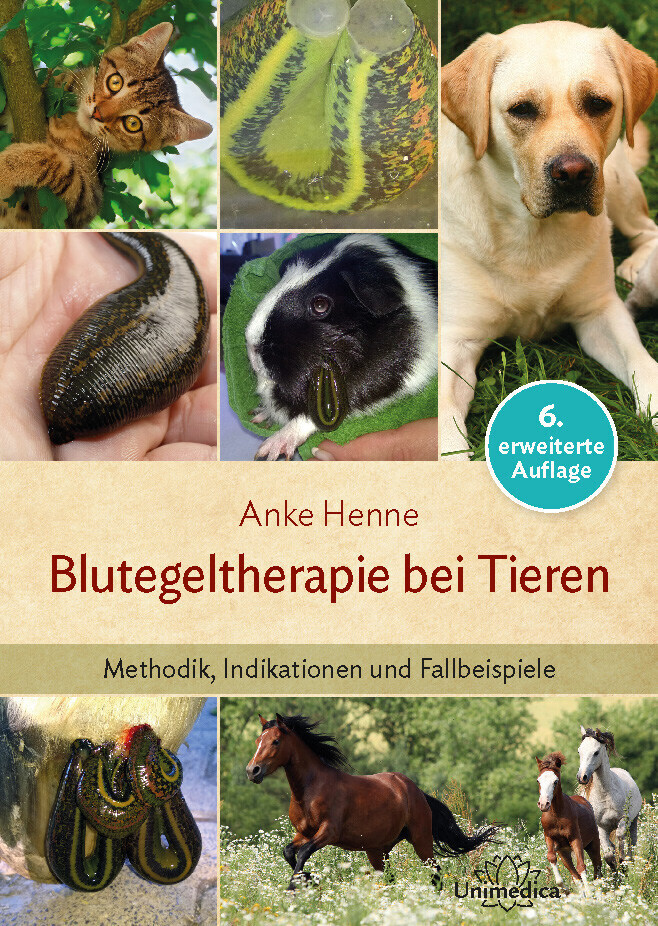 Cover: 9783941706286 | Blutegeltherapie bei Tieren | Methodik, Indikationen und Fallbeispiele