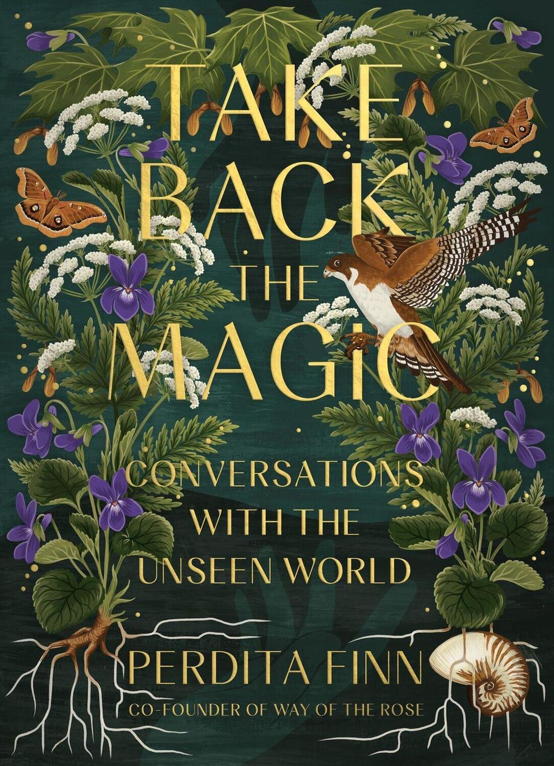 Cover: 9780762482504 | Take Back the Magic | Conversations with the Unseen World | Finn