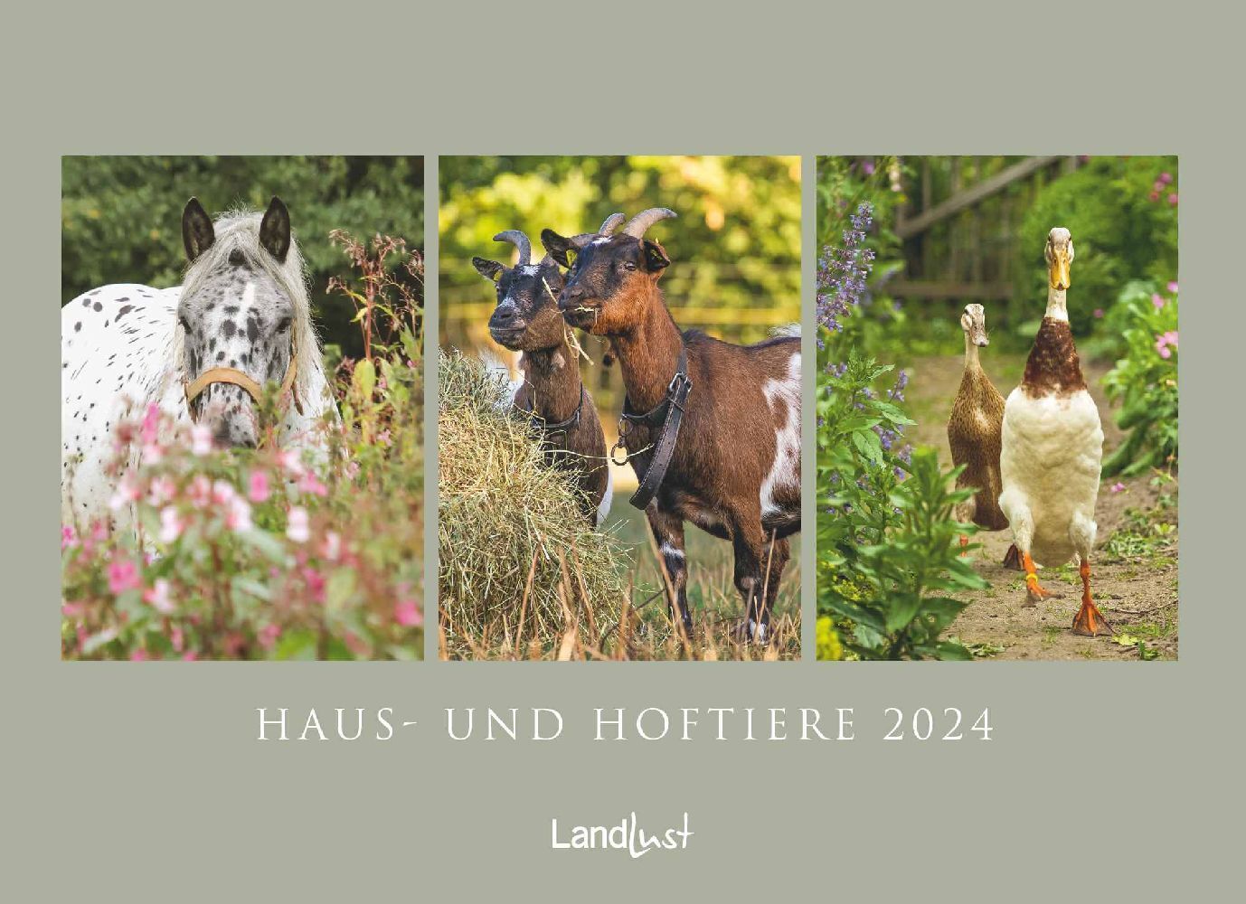 Cover: 4002725987709 | Landlust: Haus- und Hoftiere 2024 Wand-Kalender - Poster-Kalender -...