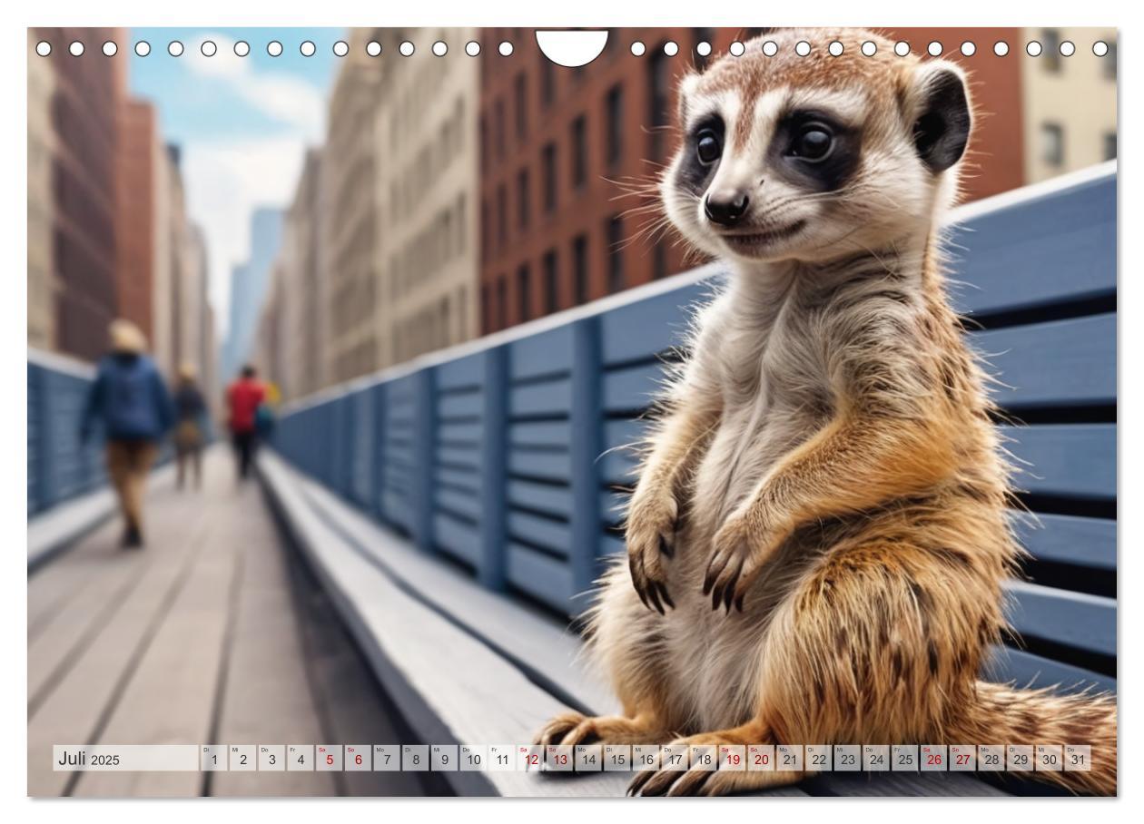 Bild: 9783383797880 | Erdmännchen in New York City (Wandkalender 2025 DIN A4 quer),...