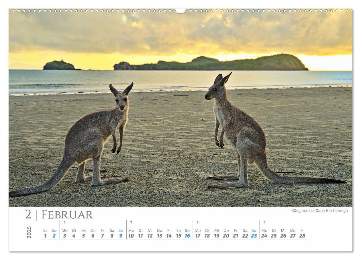 Bild: 9783383798726 | Australien - Highlights Ostküste (hochwertiger Premium Wandkalender...