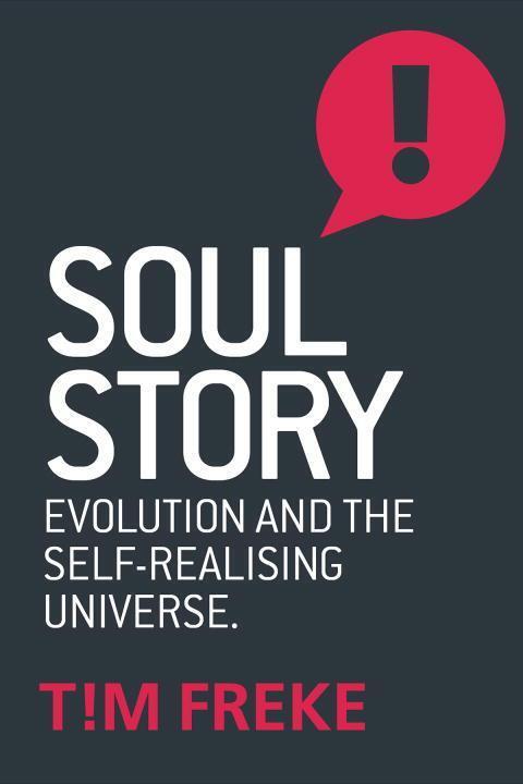 Cover: 9781780289847 | Soul Story | Evolution and The Purpose of Life | Tim Freke | Buch