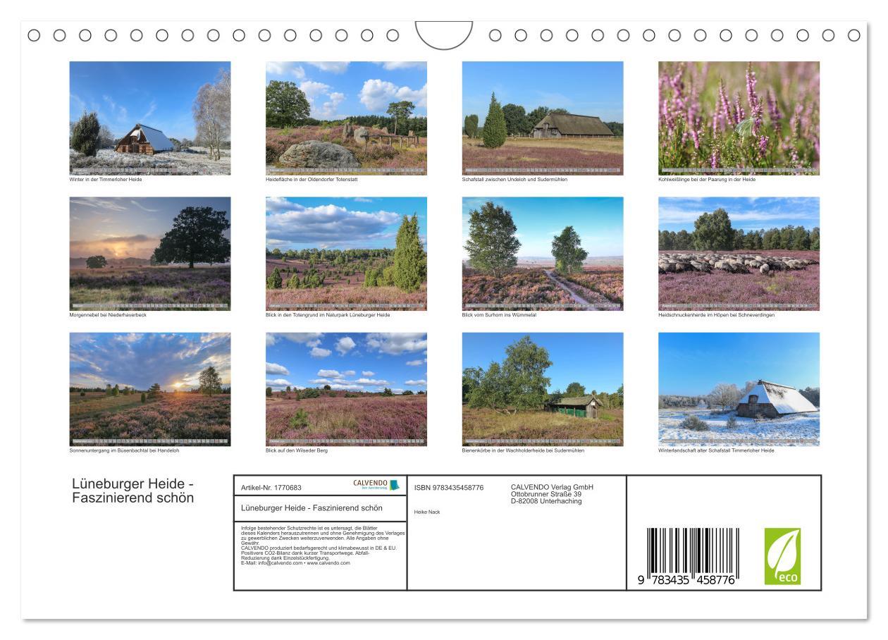 Bild: 9783435458776 | Lüneburger Heide - Faszinierend schön (Wandkalender 2025 DIN A4...