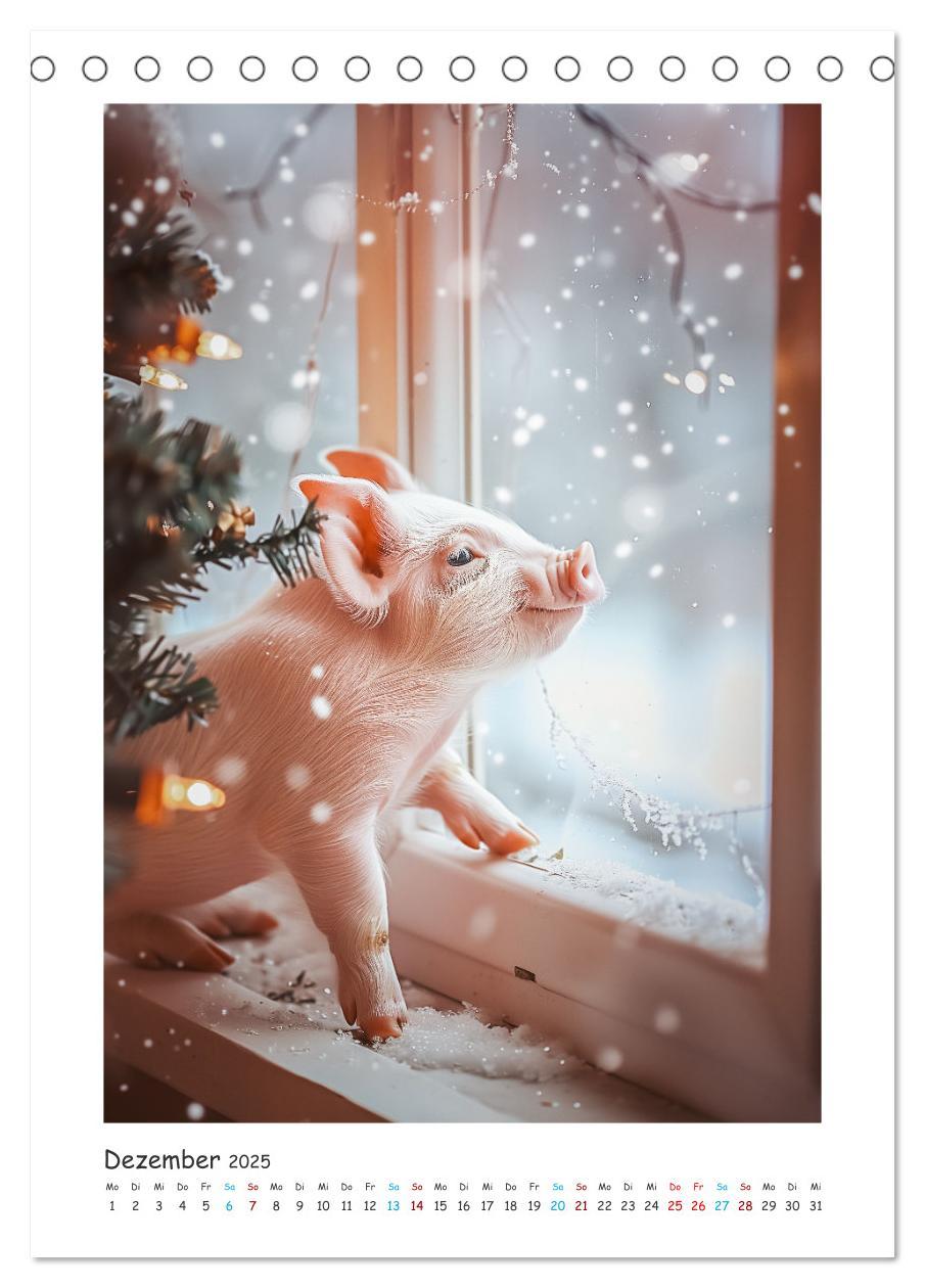 Bild: 9783457160558 | Schwein gehabt (Tischkalender 2025 DIN A5 hoch), CALVENDO...