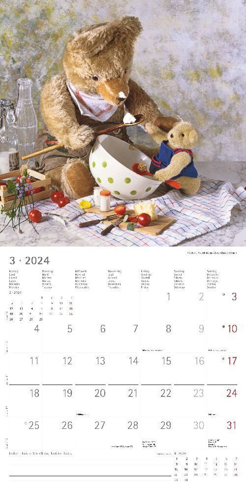 Bild: 4251732335298 | Teddy 2024 - Broschürenkalender 30x30 cm (30x60 geöffnet) -...