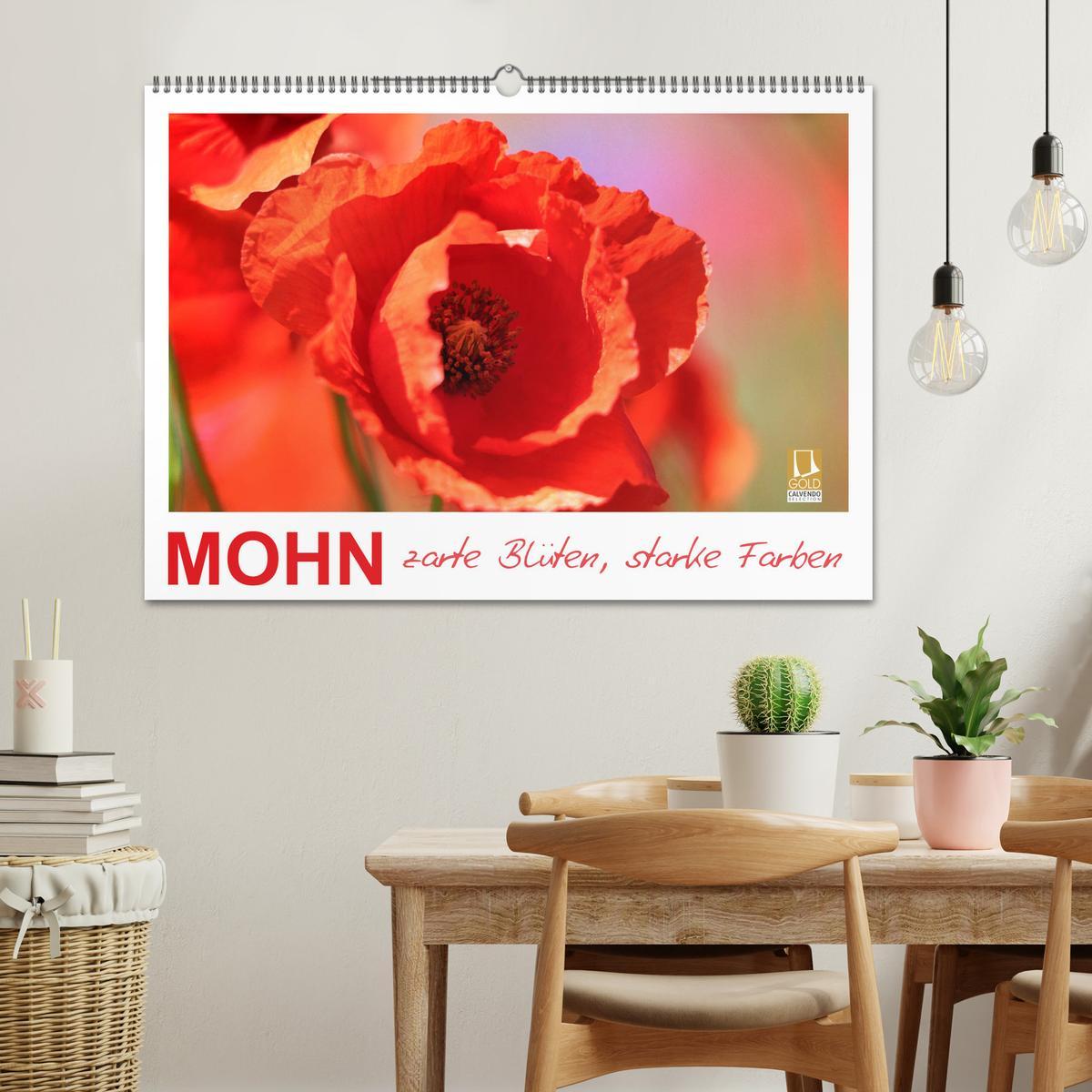 Bild: 9783435135431 | Mohn, zarte Blüten, starke Farben (Wandkalender 2025 DIN A2 quer),...