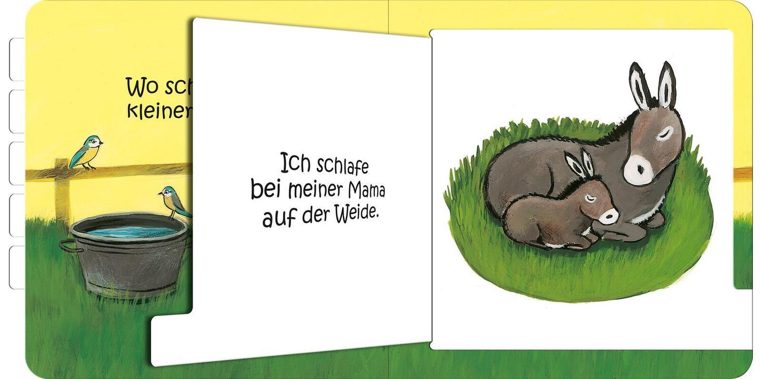 Bild: 9783845857664 | Wo schläfst du, kleine Eule? | Buch | Pappebuch mit Klappen | 14 S.