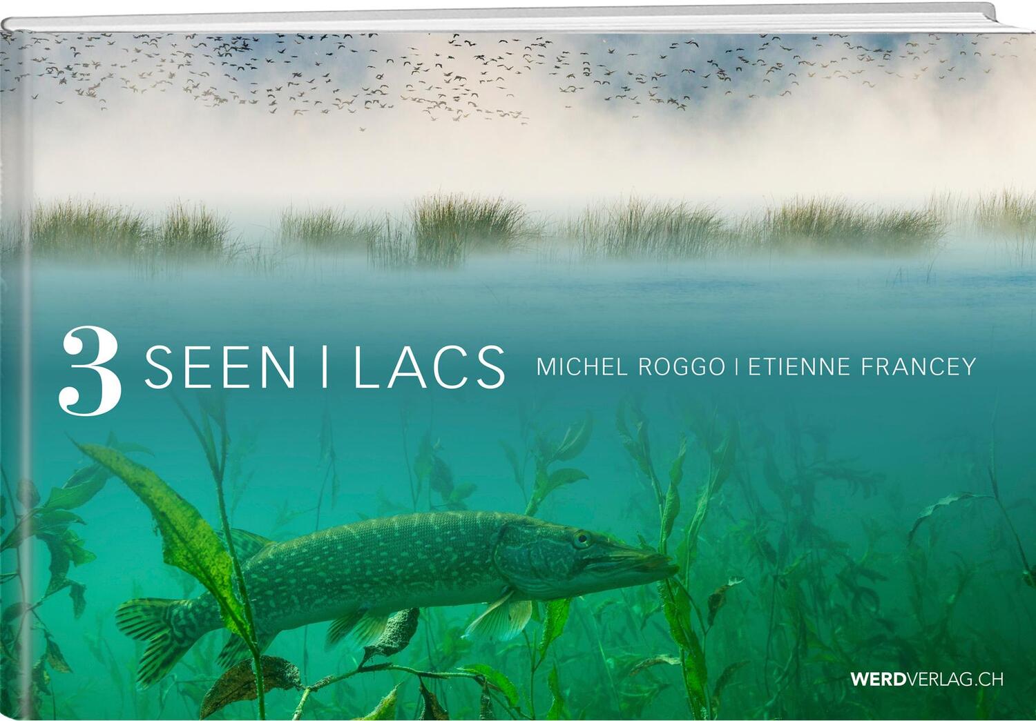 Cover: 9783859329652 | 3 Seen - 3 Lacs | Dt/frz | Michel/Francey, Etienne Roggo | Buch | 2019