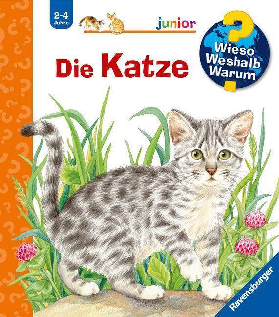 Cover: 9783473327706 | Die Katze | Patricia Mennen | Buch | Spiralbindung | Deutsch | 2015