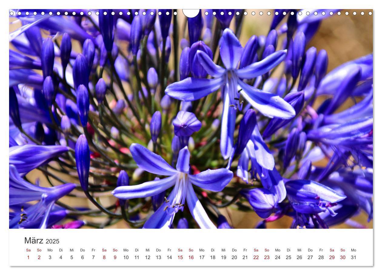 Bild: 9783435066100 | Madeira - Eine wunderschöne Perle im Atlantik (Wandkalender 2025...