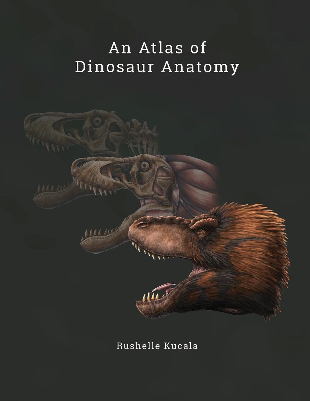 Cover: 9781387896547 | An Atlas of Dinosaur Anatomy | Rushelle Kucala | Taschenbuch | 2018