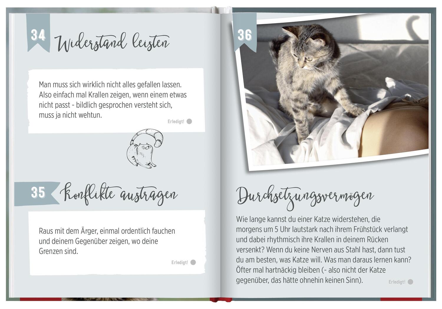 Bild: 9783848523252 | 100 Dinge, die man von einer Katze lernen kann | Groh Redaktionsteam