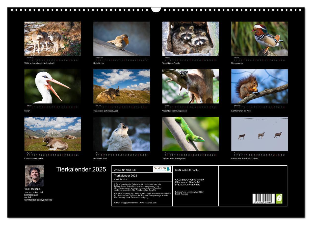 Bild: 9783435797097 | Tierkalender 2025 (Wandkalender 2025 DIN A2 quer), CALVENDO...